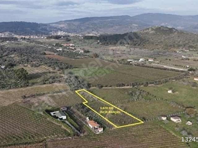 Gökçealan Mahallesi, Selçuk içerisinde satılık mülk