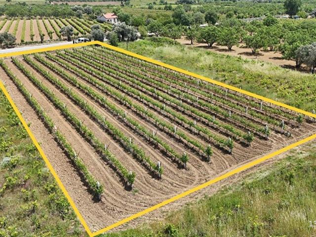 Gökçealan Mahallesi, Selçuk içerisinde satılık mülk