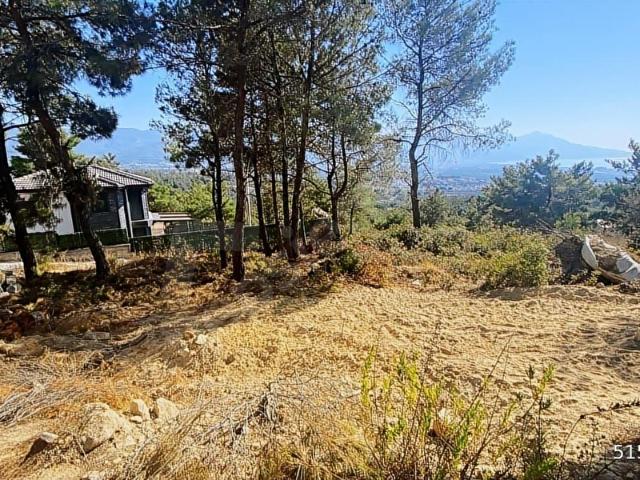 Soğucak, Kuşadası içerisinde satılık Arsa