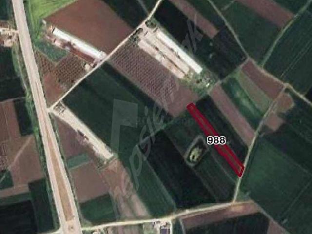 Kuşcenneti Mahallesi, Bandırma içerisinde satılık Arsa