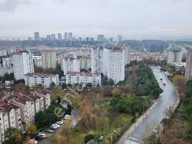 Halkalı 2. Etap Toplu Konutları, Küçükçekmece içerisinde kiralık mülk