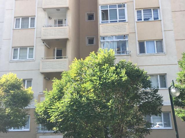 Küçükçekmece, İstanbul içerisinde kiralık mülk
