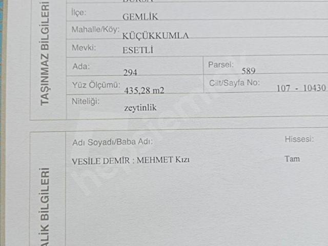 Gemlik, Bursa içerisinde satılık mülk