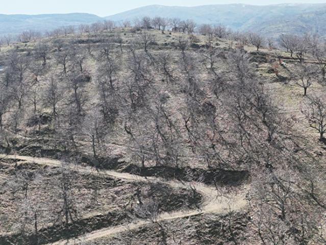 Ödemiş, İzmir içerisinde satılık mülk
