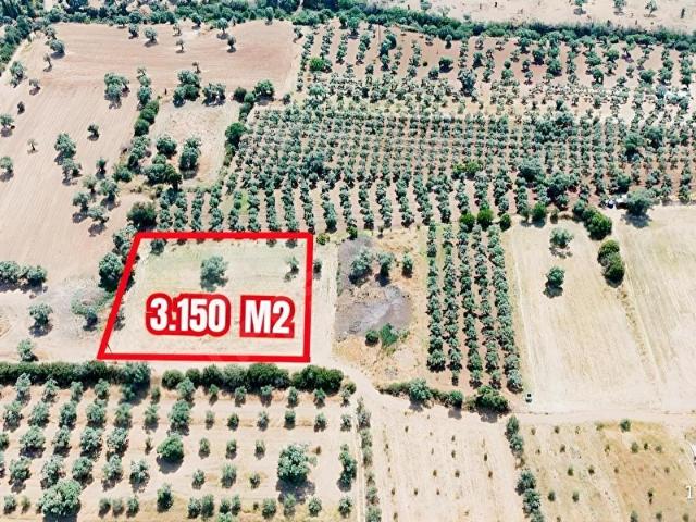 Türkmen Mahallesi, Ödemiş içerisinde satılık Arsa