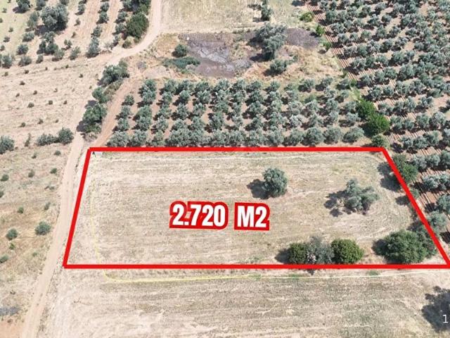 Türkmen Mahallesi, Ödemiş içerisinde satılık Arsa