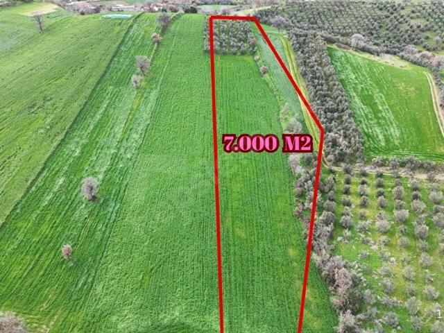 Kiraz, İzmir içerisinde satılık Arsa
