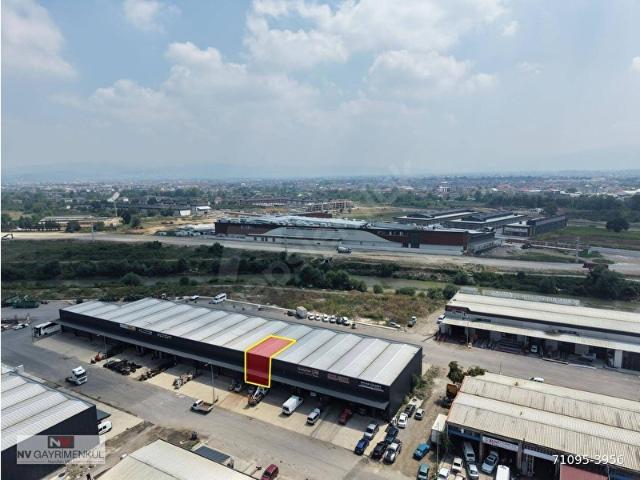 Düzce Merkez, Düzce içerisinde satılık Dükkan