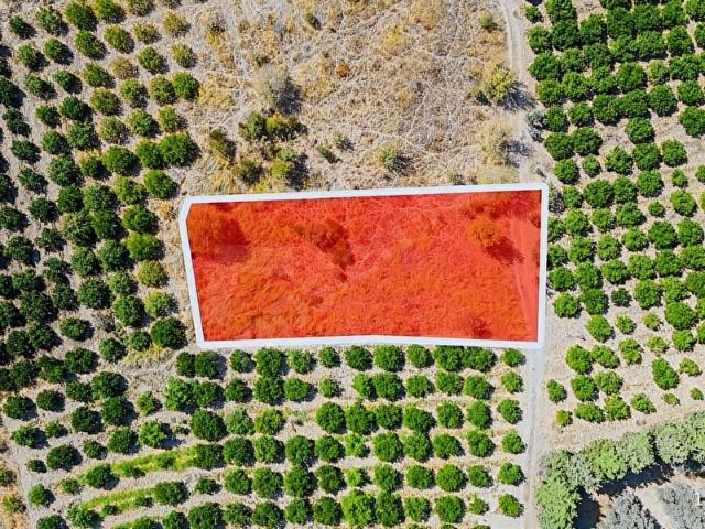 Karaburun, İzmir içerisinde satılık Arsa