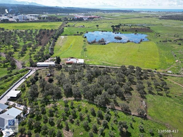 Ayvalik, Balikesir içerisinde satılık mülk