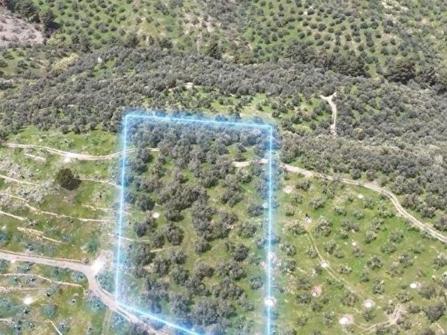 Küçükkuyu, Ayvacık içerisinde satılık mülk