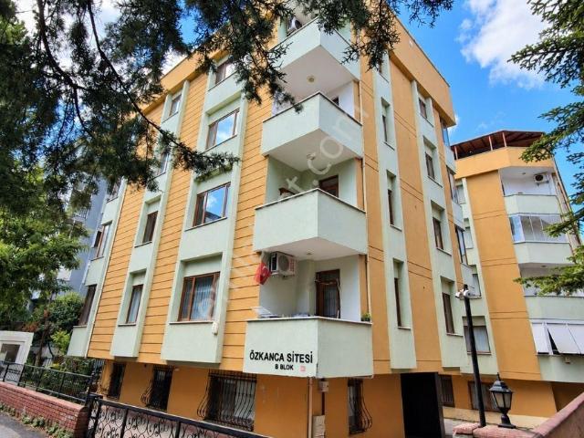 Maltepe, İstanbul içerisinde kiralık mülk