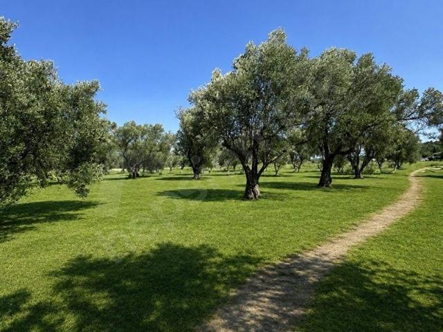 Kuşçular Mahallesi, Urla içerisinde satılık mülk