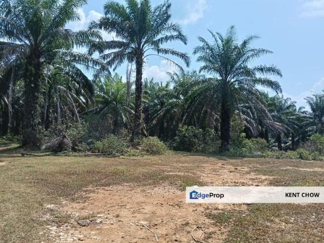Shop for sale in Tringganu