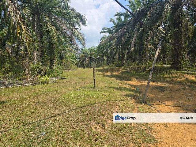 Shop for sale in Tringganu