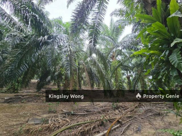 Property for sale in Kampung Simpang Lawin, Kuala Kangsar
