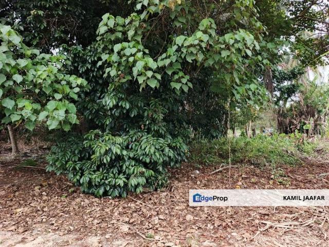 House for sale in Kampung Sungai Lebah, Kuala Klawang