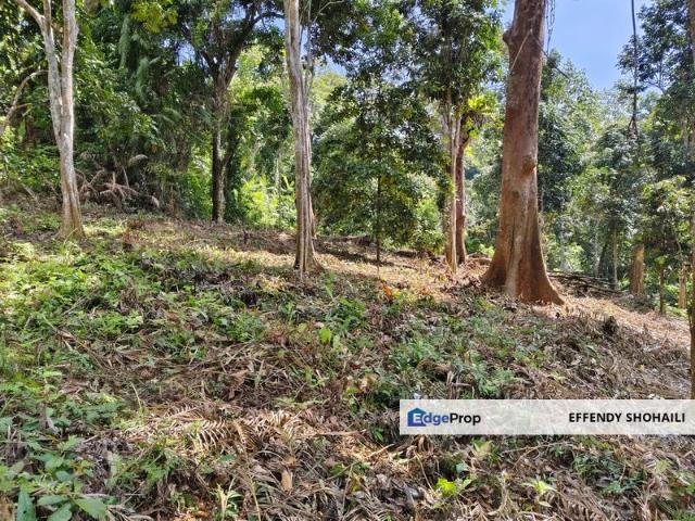 Shop for sale in Kuala Kelawang, Negeri Sembilan