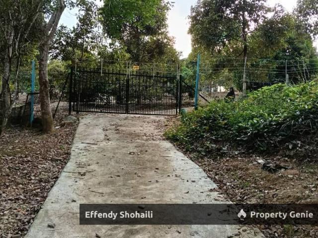 Property for sale in Kuala Kelawang, Negeri Sembilan