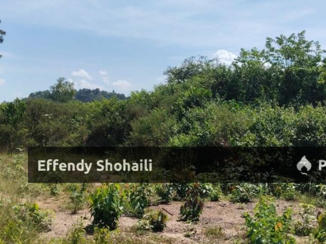 Property for sale in Kuala Kelawang, Negeri Sembilan
