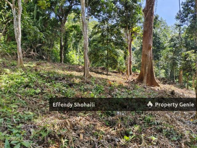 Property for sale in Kuala Kelawang, Negeri Sembilan