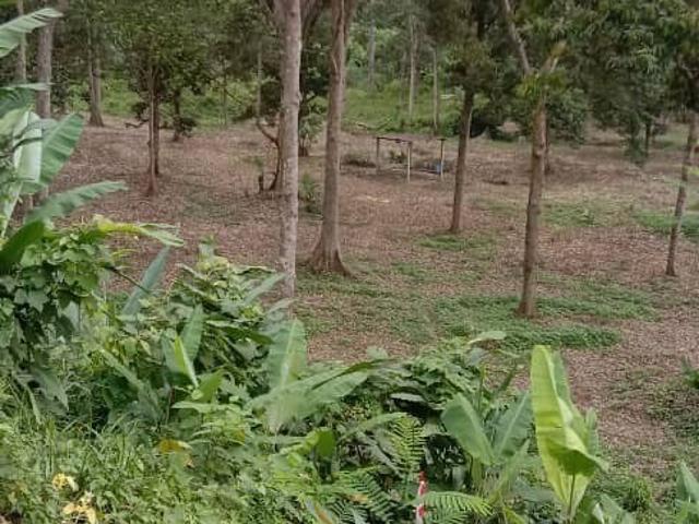 Property for sale in Kuala Kelawang, Negeri Sembilan