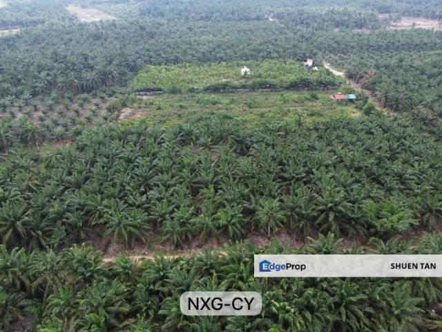 Warehouse for sale in Selangor