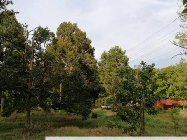 Shop for sale in Pahang
