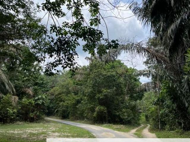 Shop for sale in Pilah, Kuala Pilah