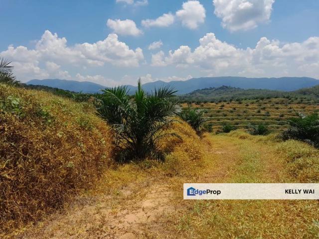 Shop for sale in Pilah, Kuala Pilah