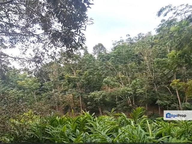 Shop for sale in Pilah, Kuala Pilah