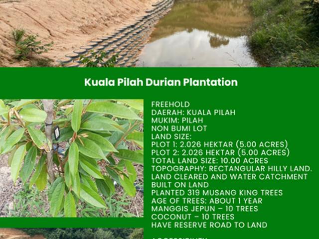 Shop for sale in Pilah, Kuala Pilah