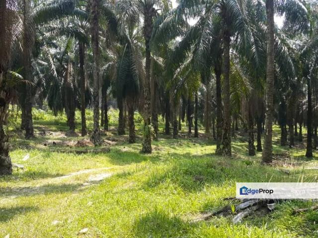 Shop for sale in Pilah, Kuala Pilah