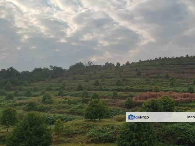 Shop for sale in Pilah, Kuala Pilah