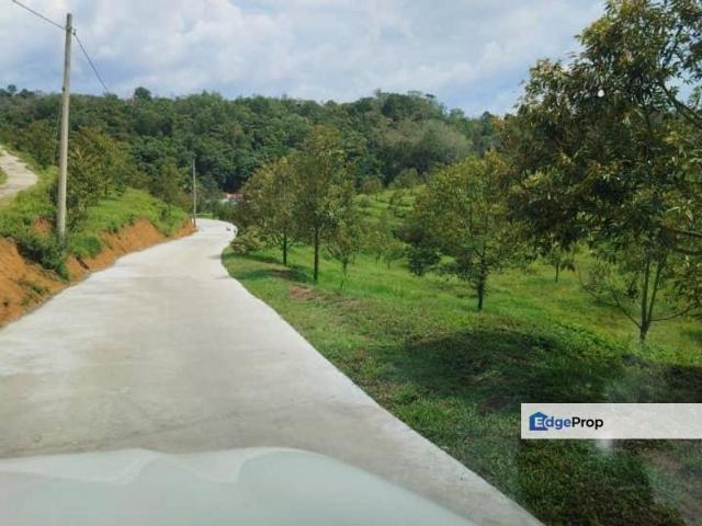 Shop for sale in Pilah, Kuala Pilah