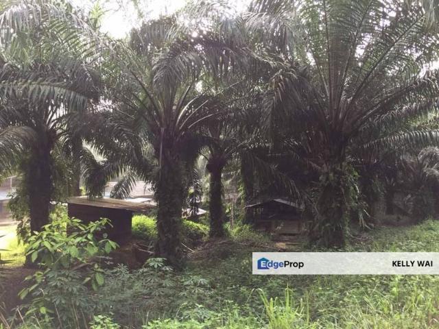Shop for sale in Pilah, Kuala Pilah