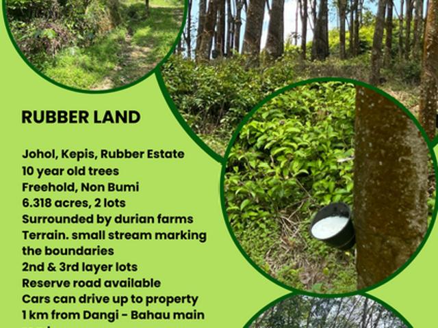 Shop for sale in Pilah, Kuala Pilah