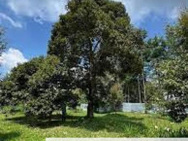 Shop for sale in Pilah, Kuala Pilah