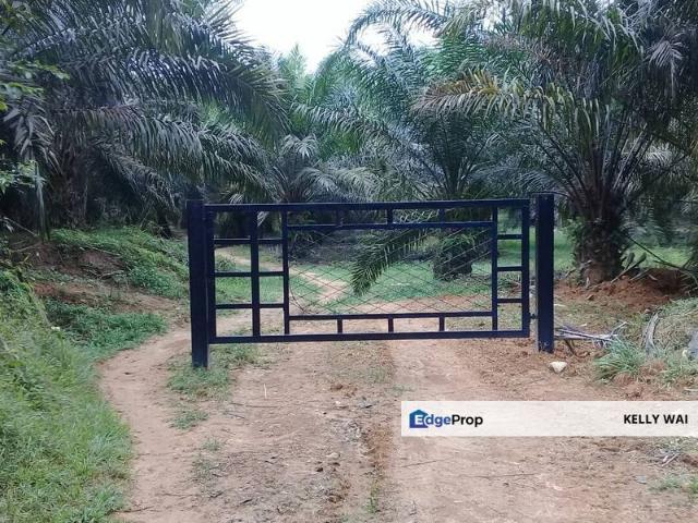 Shop for sale in Pilah, Kuala Pilah