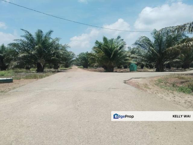 Shop for sale in Pilah, Kuala Pilah