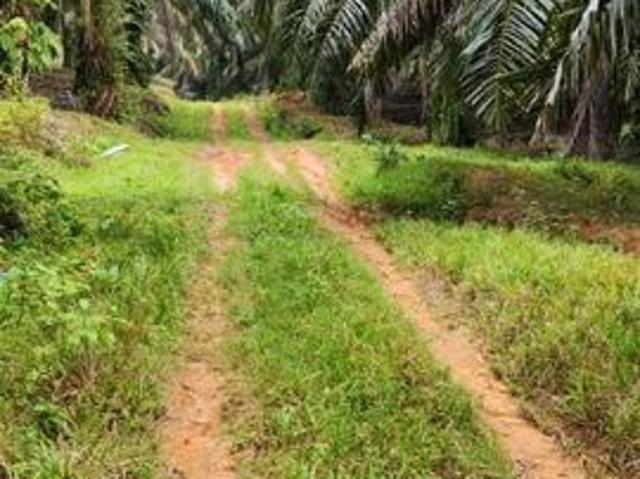 Shop for sale in Pilah, Kuala Pilah