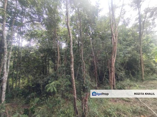 Shop for sale in Pilah, Kuala Pilah