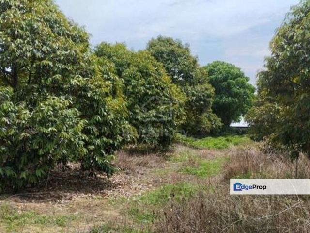 Shop for sale in Pilah, Kuala Pilah
