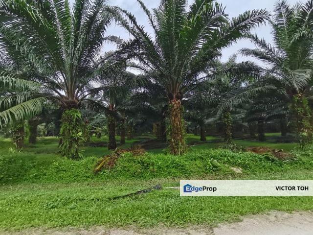 Shop for sale in Pilah, Negeri Sembilan