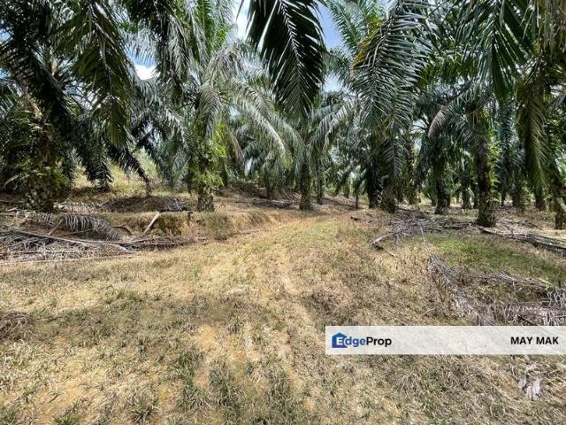 Shop for sale in Pilah, Kuala Pilah