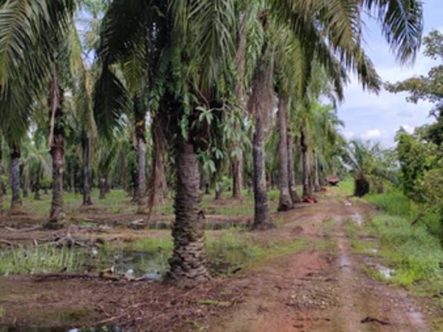 Shop for sale in Kuala Selangor, Selangor