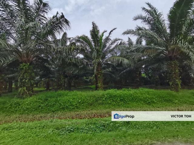 Shop for sale in Kuala Selangor, Selangor
