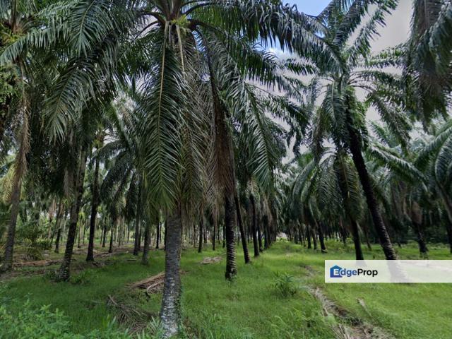 Warehouse for sale in Kuala Selangor, Selangor