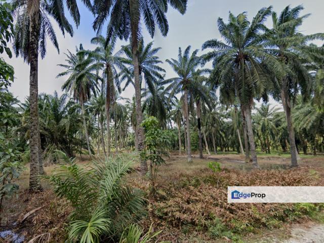 Warehouse for sale in Kuala Selangor, Selangor
