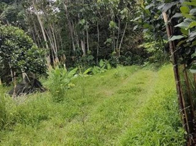 Shop for sale in Kuang, Majlis Perbandaran Selayang